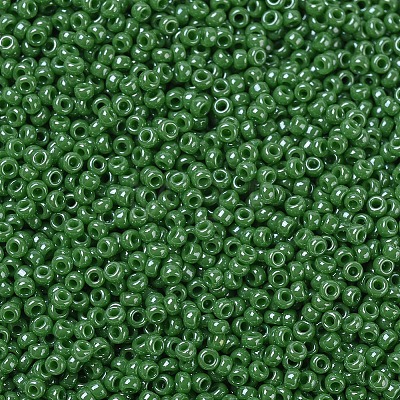 MIYUKI Round Rocailles Beads SEED-G007-RR0431-1