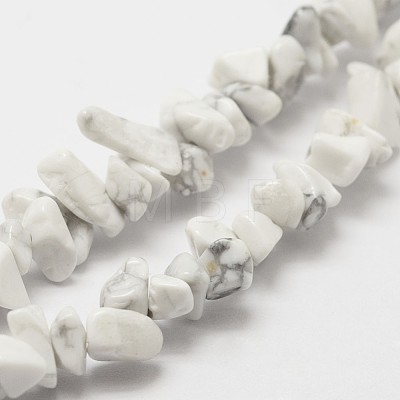 Natural Howlite Beads Strand G-F328-05-1