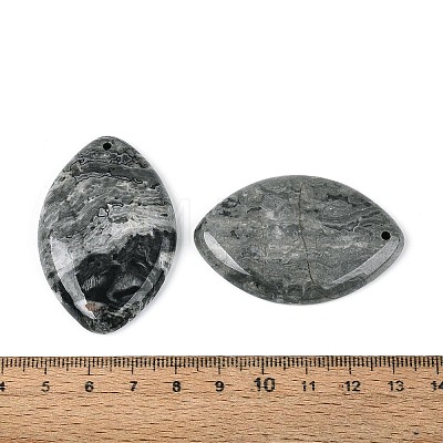 Natural Map Stone Big Pendants G-N361-04B-1
