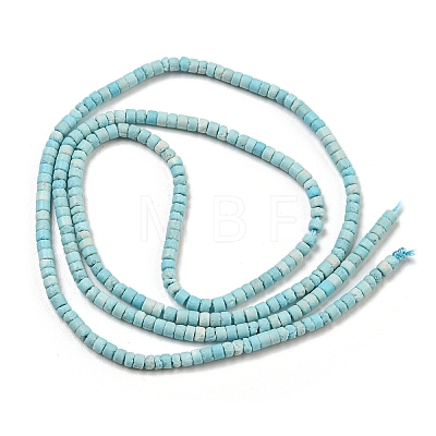 Natural Agate Beads Strands G-C139-A05-01-1