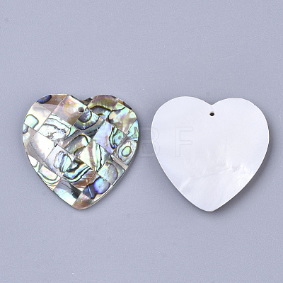 Single-Sided Natural Abalone Shell/Paua Shell Pendants SSHEL-N034-16-1