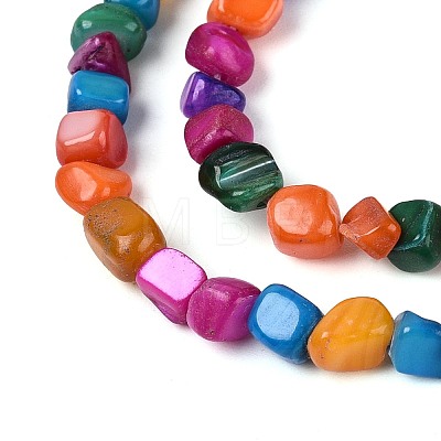 Natural Freshwater Shell Beads Strands SHEL-N037-04B-1