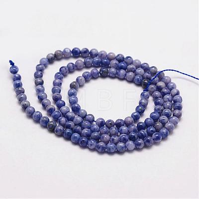 Natural Sodalite Beads Strands G-N0203-01-3mm-1