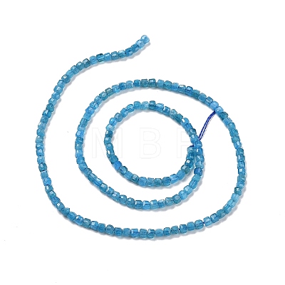 Natural Apatite Beads Strands G-C009-B14-1