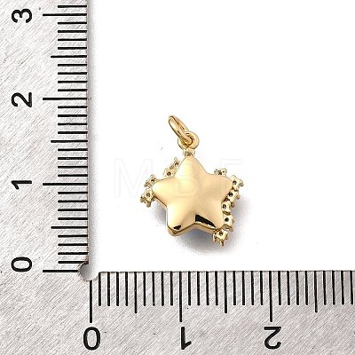 Brass Micro Pave Cubic Zirconia Charms KK-Q043-04G-1