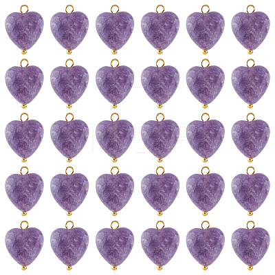30Pcs Natural Lepidolite/Purple Mica Stone Pendants FIND-FH0004-65-1