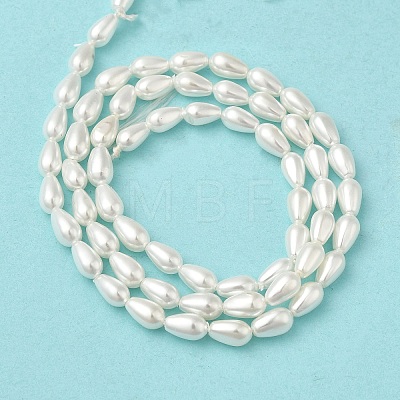 Electroplate Shell Pearl Beads Strands BSHE-G010-4x6mm-01-1