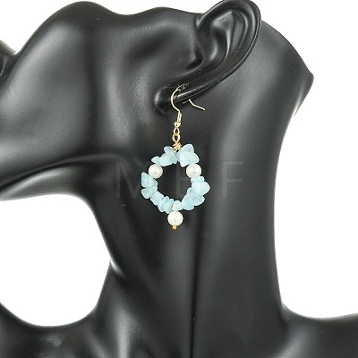 Natural Gemstone Beaded Dangle Earrings EJEW-JE07215-1