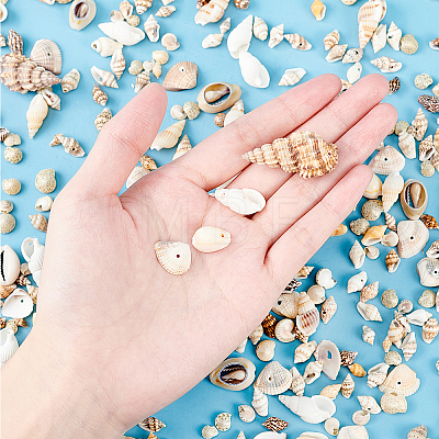 Natural Sea Shell Beads Kits SSHEL-PH0002-51-1