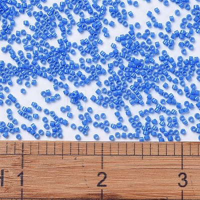 MIYUKI Delica Beads SEED-J020-DB2134-1