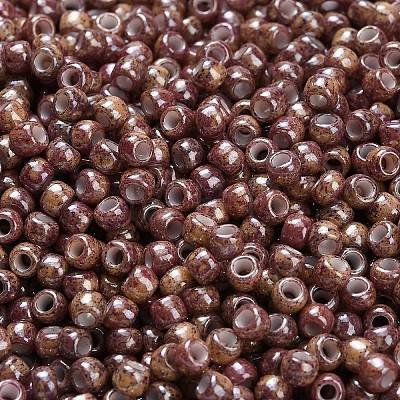 TOHO 6/0 Round Beads SEED-TR06-1203-1