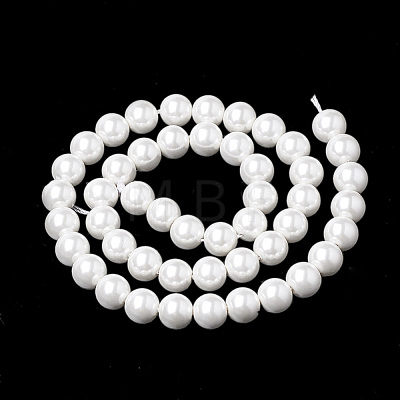 Shell Pearl Beads Strands X-BSHE-S301-10mm-04-1