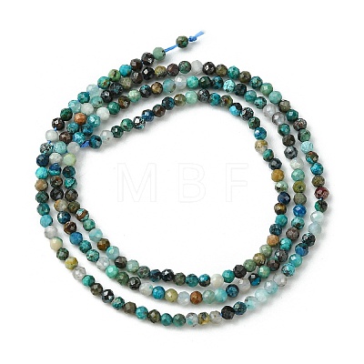 Natural Chrysocolla Beads Strands G-Z034-A03-01-1