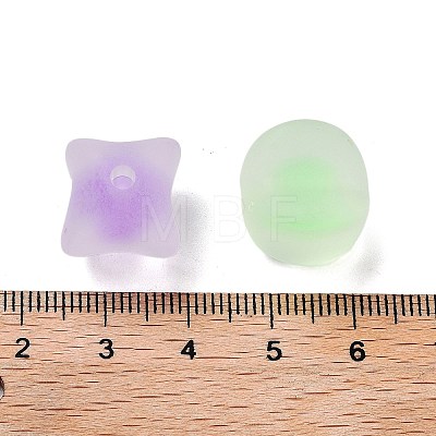 Transparent Acrylic Beads OACR-A032-06-1