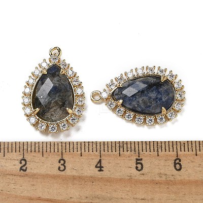 Natural Sodalite Faceted Teardrop Pendants G-I375-01G-22-1