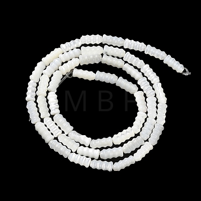 Natural Trochus Shell Beads Strands BSHE-Z003-17-1