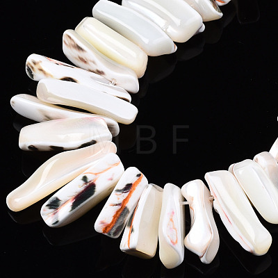 Natural Trochid Shell/Trochus Shell Beads Strands SSHEL-T014-41-1