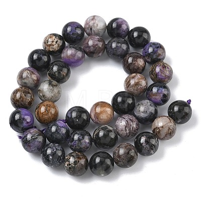 Natural Charoite Beads Strands G-C270-O03-10-1