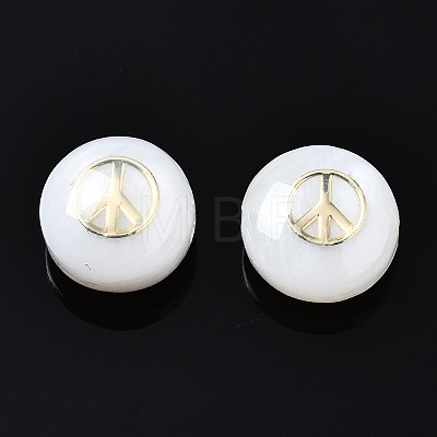 Freshwater Shell Beads SHEL-T018-18-1