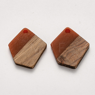 Resin & Walnut Wood Pendants RESI-S384-003A-A01-1