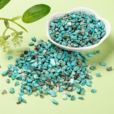 Synthetic Turquoise Chip Beads G-FS0001-13-1