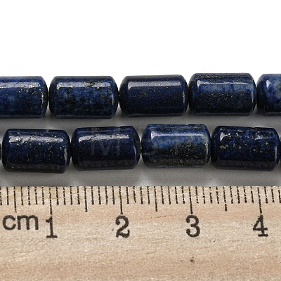 Natural Lapis Lazuli Beads Strands G-M420-E02-03-1