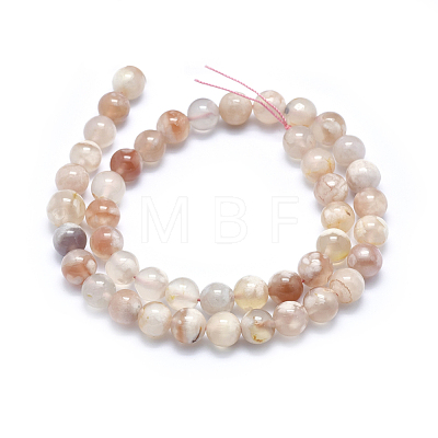 Natural Cherry Blossom Agate Beads Strands X-G-I213-23-8mm-1