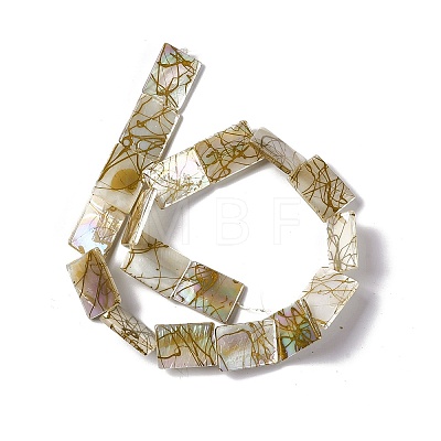 Drawbench Style Natural Freshwater Shell Beads Strands SHEL-F003-02-1