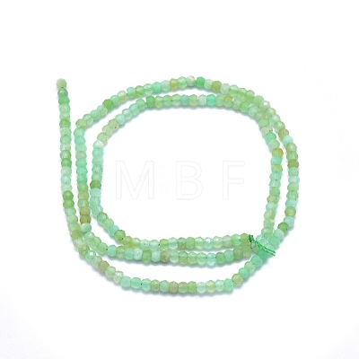 Natural Chrysoprase Beads Strands G-O172-06-1