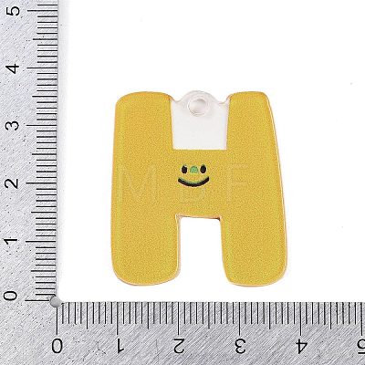 Acrylic Pendants MACR-R002-01H-1