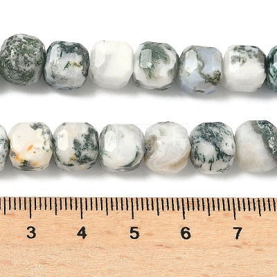 Natural Tree Agate Beads Strands G-C267-A18-1
