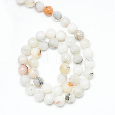 Natural Agate Bead Strands G-R346-12mm-26-1