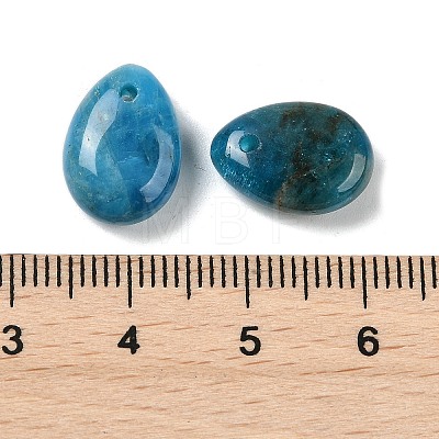 Natural Apatite Teardrop Charms G-M410-01-12-1