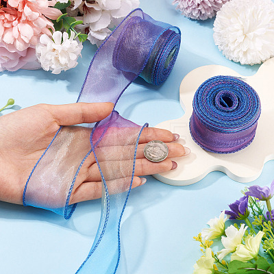 2 Rolls Polyester Mesh Ribbons SRIB-TA0003-42A-1