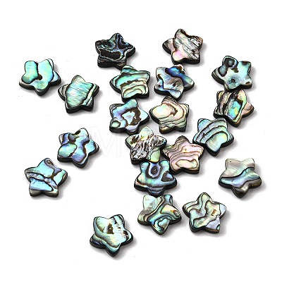 Natural Abalone Shell/Paua Shell Beads SHEL-B003-06-1