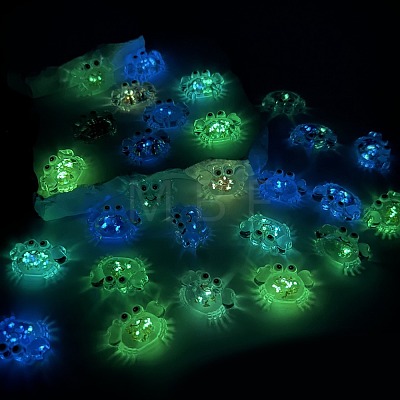 Luminous Transparent Acrylic Pendants TACR-F006-02-1