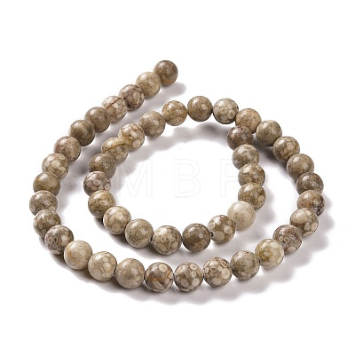 Natural Maifanite/Maifan Stone Beads Strands X-G-I187-6mm-01-1
