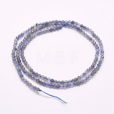 Natural Cordierite/Iolite/Dichroite Beads Strands G-F509-15-3mm-1
