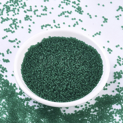 MIYUKI Round Rocailles Beads X-SEED-G007-RR0147F-1