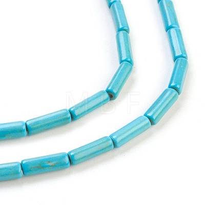 Synthetic Turquoise Beads Strands TURQ-G120-4x13mm-15-1