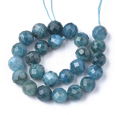 Natural Apatite Beads Strands X-G-S345-6mm-008-1