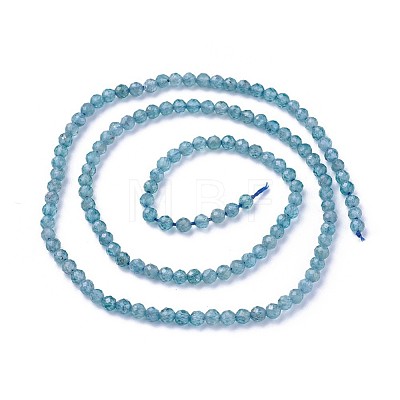 Natural Apatite Beads Strands G-F619-13A-3mm-1