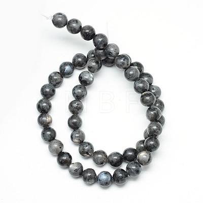 Natural Larvikite Beads Strands G-R345-10mm-33-1