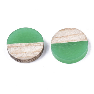 Resin & Wood Cabochons RESI-R425-05C-1