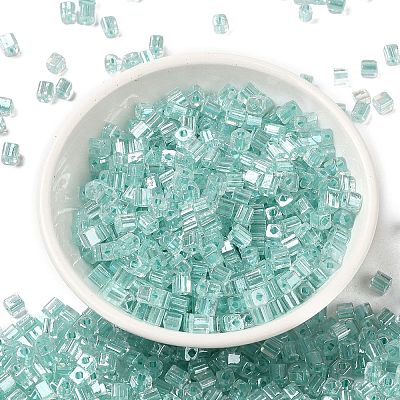 Glass Seed Beads SEED-H002-F-1141-1