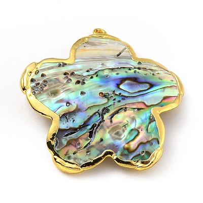 Natural Paua Shell Pendants KK-G409-11G-1