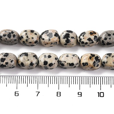 Natural Dalmatian Jasper Beads Strands G-G146-A24-01-1