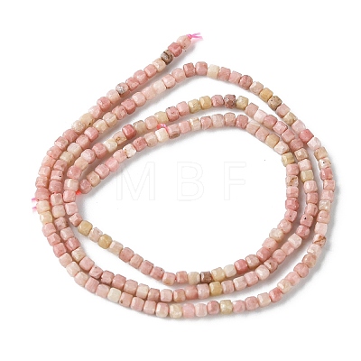 Natural Rhodonite Beads Strands G-F748-V01-1