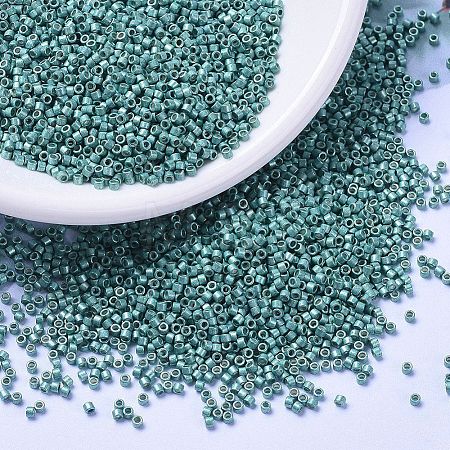 MIYUKI Delica Beads X-SEED-J020-DB1183-1