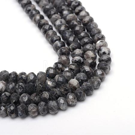 Faceted Rondelle Dyed Natural Sesame Jasper/Kiwi Jasper Bead Strands G-R343-6x8-20-1